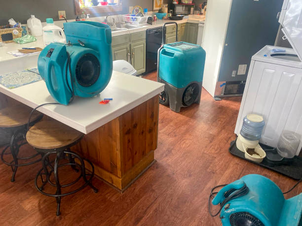 Best Flooded house restoration  in Hawaiian Acres, HI