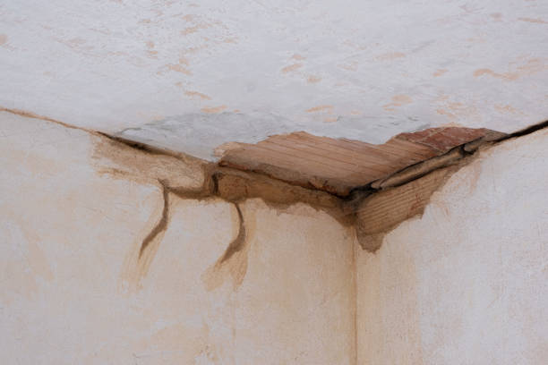 Best Fire Damage Restoration  in Hawaiian Acres, HI